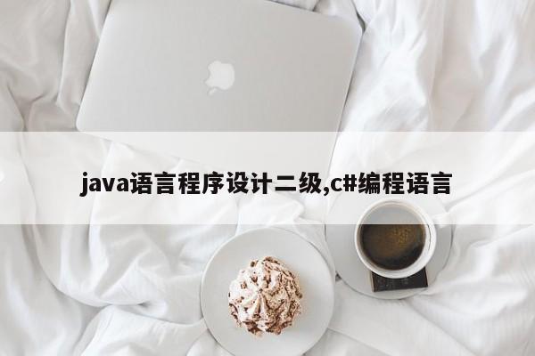 java语言程序设计二级,c#编程语言
