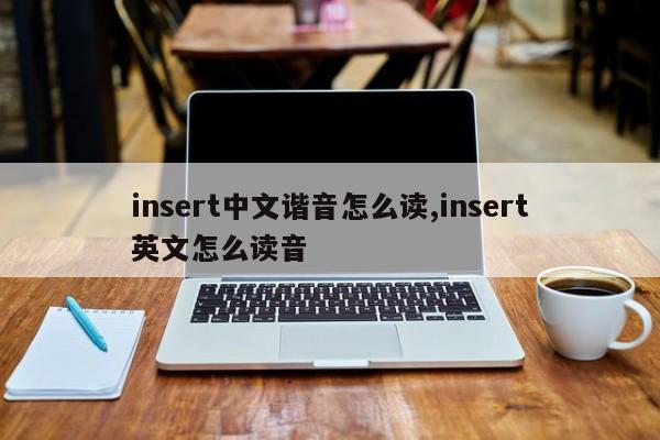insert中文谐音怎么读,insert英文怎么读音