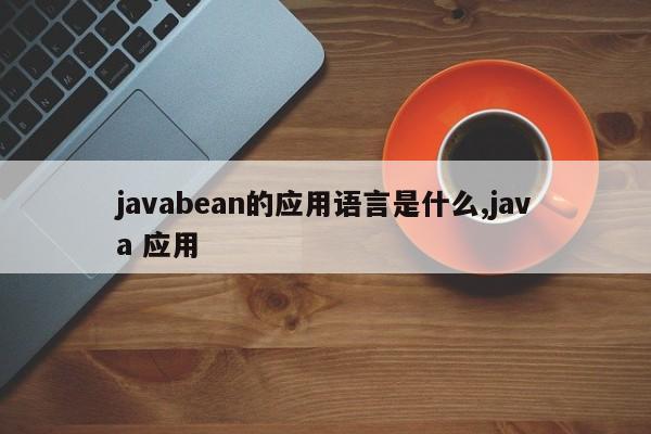 javabean的应用语言是什么,java 应用